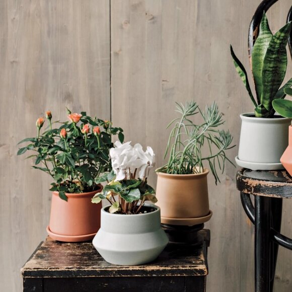 Danica Heirloom Nest Plant Pot Planter 3 Pack - Picture 1 of 8